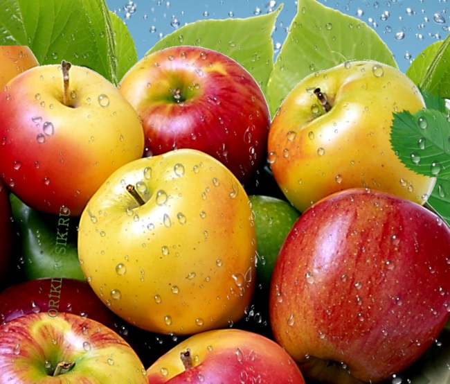 Сушенные яблоки польза